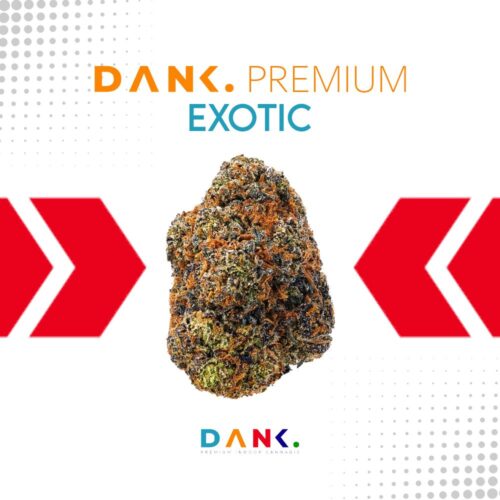 Premium Exotic bud