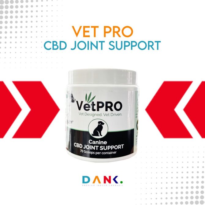 Vet Pro - CBD Joint Support
