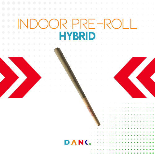 Indoor Pre-roll